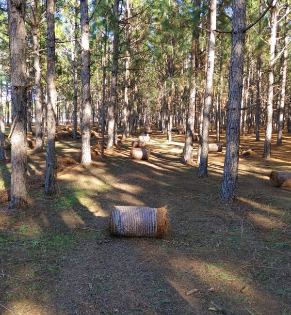 0301221527a_HDR 0301221527a_HDR